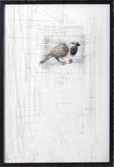 Captured Etching I 17x25