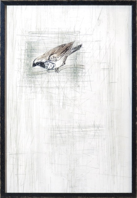 Captured Etching II 17x25