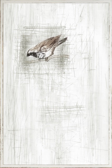 Captured Etching II 27x40